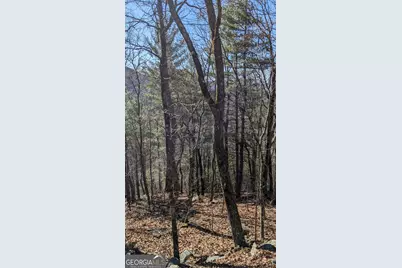 0 Lot 111 Ridgepole Drive Drive, Sky Valley, GA 30537 - Photo 12