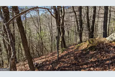 0 Lot 111 Ridgepole Drive Drive, Sky Valley, GA 30537 - Photo 6