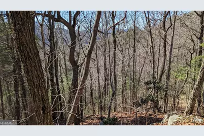 0 Lot 111 Ridgepole Drive Drive, Sky Valley, GA 30537 - Photo 10