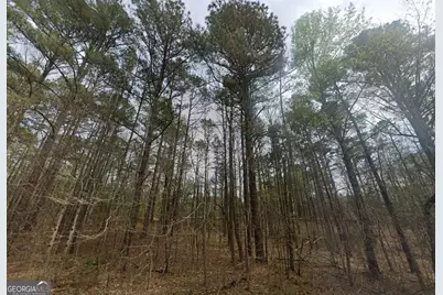 4600 Ga Highway 34, Franklin, GA 30217 - Photo 2