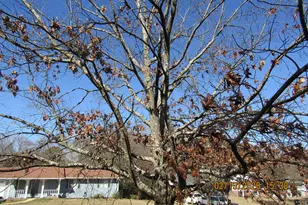 1645 Main St NE, Conyers, GA 30012 - Photo 20