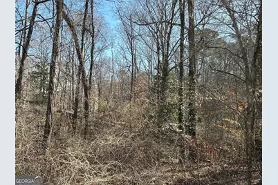 0 Lakeshore Drive, Mountain Park, GA 30075 - Photo 14