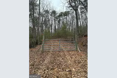 0 Paradise Lane, Blue Ridge, GA 30513 - Photo 2