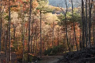 0 Paradise Lane, Blue Ridge, GA 30513 - Photo 1