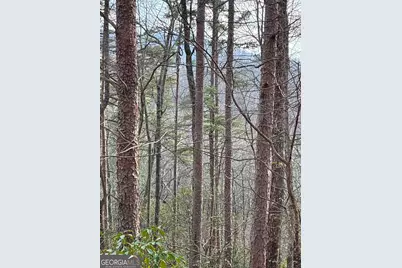 0 Paradise Lane, Blue Ridge, GA 30513 - Photo 16