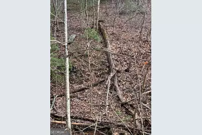 0 Paradise Lane, Blue Ridge, GA 30513 - Photo 6