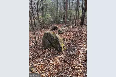 0 Paradise Lane, Blue Ridge, GA 30513 - Photo 10
