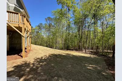 66 Pine Creek Court #LOT 73, Dallas, GA 30157 - Photo 4