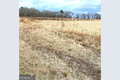 0 Allen Ranch Road, Chester, GA 31012 - Photo 4