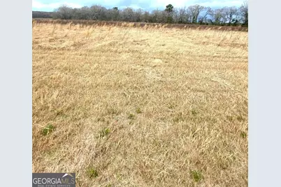 0 Allen Ranch Road, Chester, GA 31012 - Photo 6