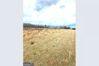 0 Allen Ranch Road, Chester, GA 31012 - Photo 2