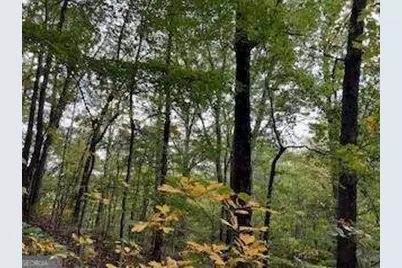 257 Andes Ridge, Jasper, GA 30143 - Photo 20