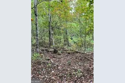 257 Andes Ridge, Jasper, GA 30143 - Photo 22