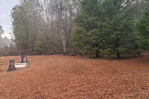 2648 Orphans Cemetery Rd, Eastman, GA 31023 - Photo 2