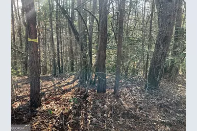 (3) Rizzitello Ln, Blairsville, GA 30512 - Photo 4