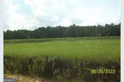 650 Howard Farm Road, Vienna, GA 31092 - Photo 8