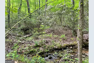 0 Everett Springs Road, Armuchee, GA 30105 - Photo 10