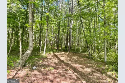 0 Everett Springs Road, Armuchee, GA 30105 - Photo 16