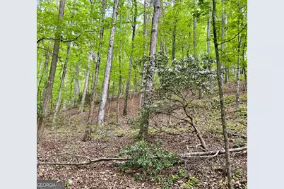 0 Everett Springs Road, Armuchee, GA 30105 - Photo 12