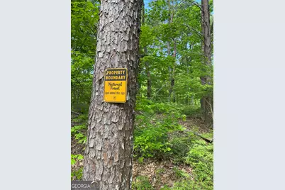 0 Everett Springs Road, Armuchee, GA 30105 - Photo 14