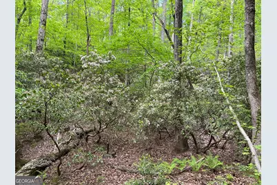 0 Everett Springs Road, Armuchee, GA 30105 - Photo 8