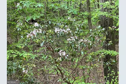 0 Everett Springs Road, Armuchee, GA 30105 - Photo 2