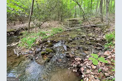 0 Everett Springs Road, Armuchee, GA 30105 - Photo 6