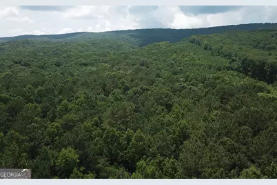 0 Everett Springs Road, Armuchee, GA 30105 - Photo 20