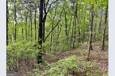 0 Everett Springs Road, Armuchee, GA 30105 - Photo 4