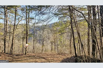 137 Abe Court, Ranger, GA 30734 - Photo 2