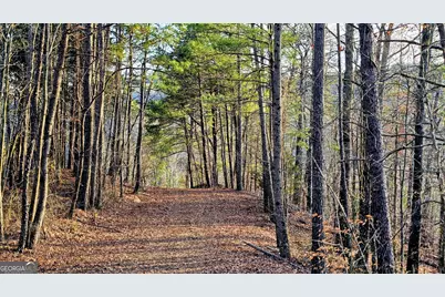 137 Abe Court, Ranger, GA 30734 - Photo 4