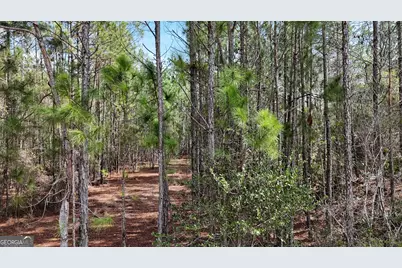 75 Lila Lane, Pembroke, GA 31321 - Photo 2