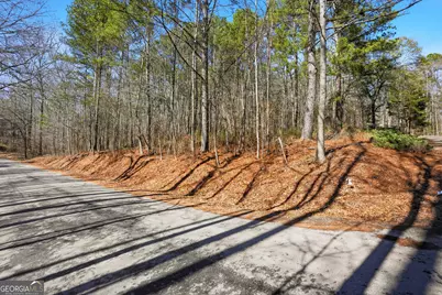 0 Pickett Bridge Road, Covington, GA 30016 - Photo 10