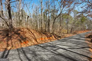 0 Pickett Bridge Rd, Covington, GA 30016 - Photo 1