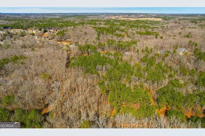 0 Pickett Bridge Road, Covington, GA 30016 - Photo 14