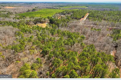 0 Pickett Bridge Road, Covington, GA 30016 - Photo 22