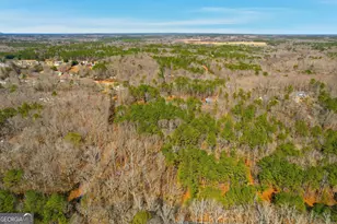 0 Pickett Bridge Rd, Covington, GA 30016 - Photo 1