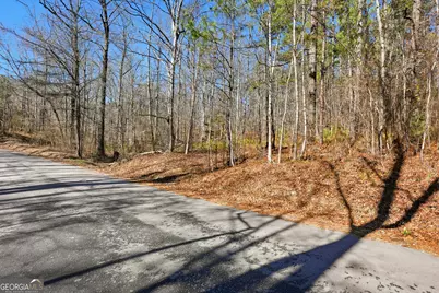 0 Pickett Bridge Road, Covington, GA 30016 - Photo 10