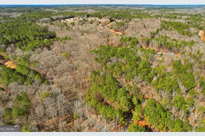 0 Pickett Bridge Road, Covington, GA 30016 - Photo 8