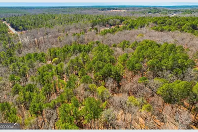 0 Pickett Bridge Road, Covington, GA 30016 - Photo 20