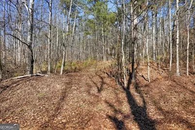 0 Pickett Bridge Road, Covington, GA 30016 - Photo 14