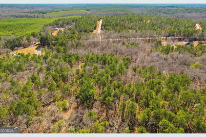 0 Pickett Bridge Road, Covington, GA 30016 - Photo 18