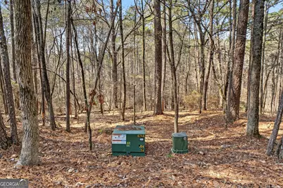 225 Tanager Ct, Monticello, GA 31064 - Photo 52