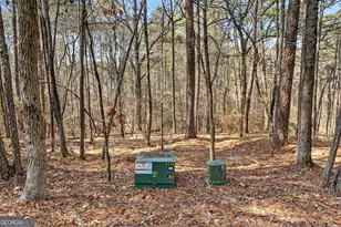 225 Tanager Ct, Monticello, GA 31064 - Photo 52