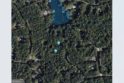 225 Tanager Ct, Monticello, GA 31064 - Photo 62