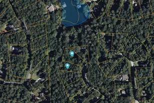 225 Tanager Ct, Monticello, GA 31064 - Photo 62