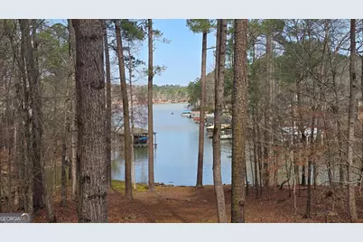 225 Tanager Ct, Monticello, GA 31064 - Photo 58