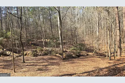 225 Tanager Ct, Monticello, GA 31064 - Photo 56