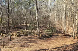 225 Tanager Ct, Monticello, GA 31064 - Photo 56