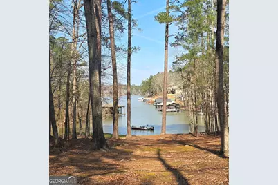 225 Tanager Ct, Monticello, GA 31064 - Photo 50